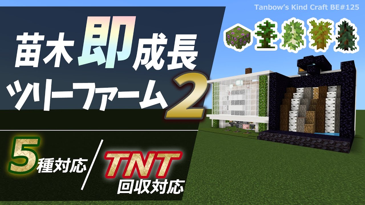 【マイクラ】TNTでも手動でも！骨粉消費の少ない苗木回収付き5種対応ツリーファーム（統合版1.21/5 Type TNT Tree Farm/Windows/PE/Switch/PS/Xbox)