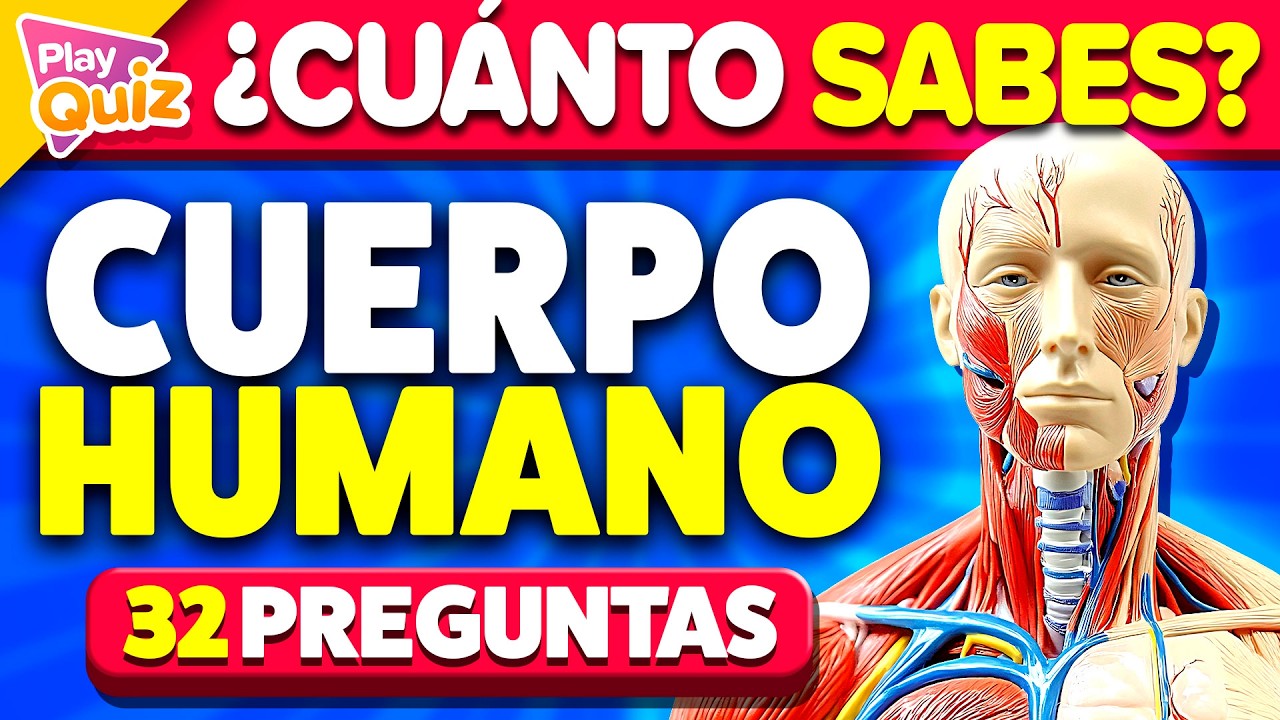 ¿Cuánto Sabes del Cuerpo Humano? 🫁👀🧠 | Play Quiz de Cultura General