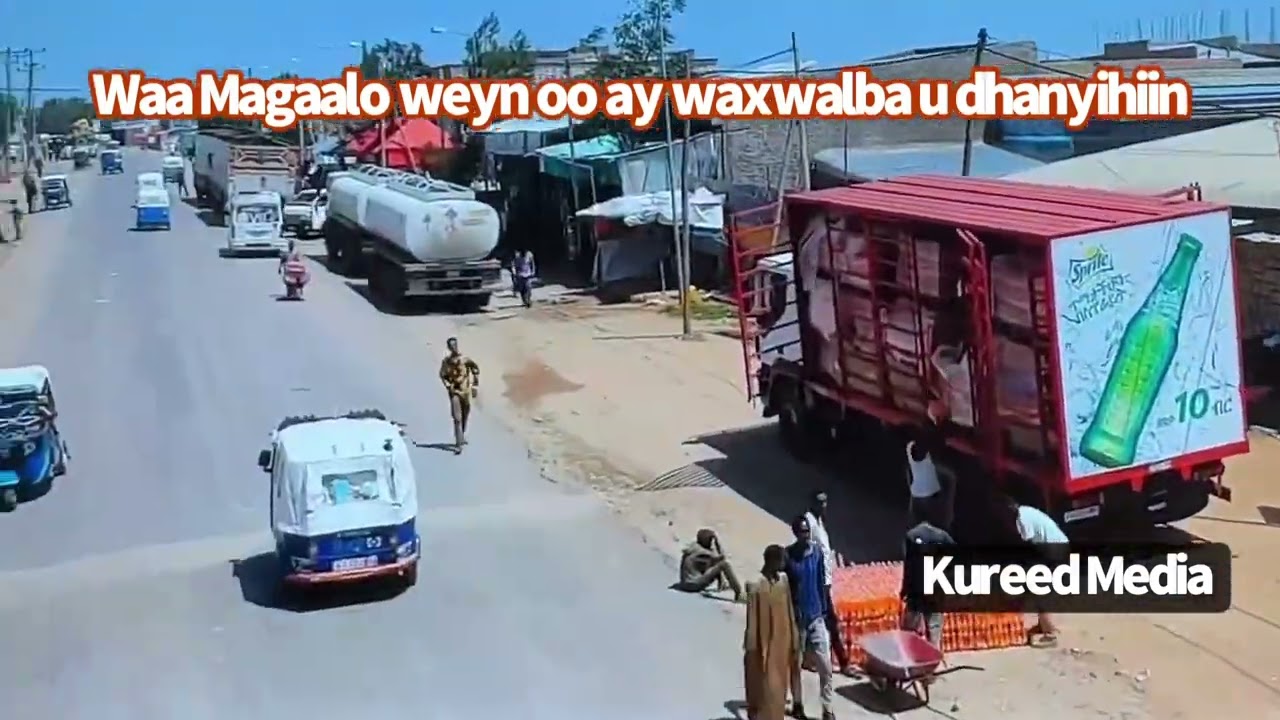 Qabribayax ma,aha Xero Qaxooti ee waa Big city