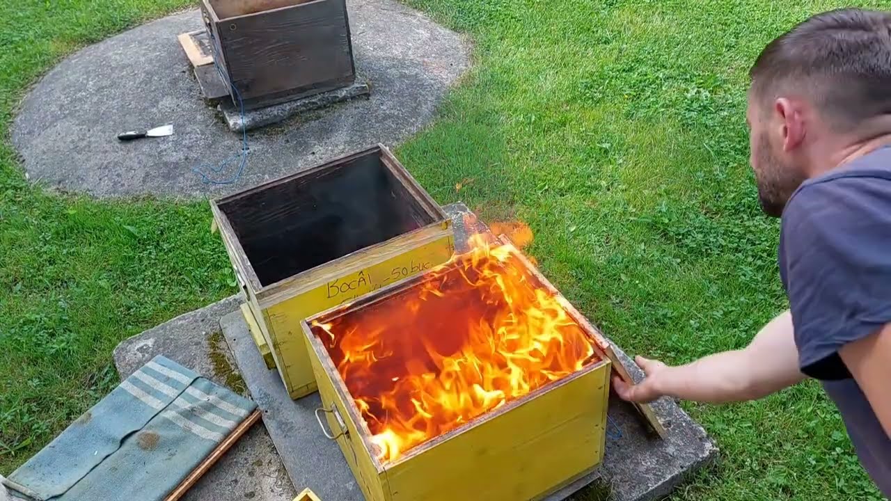 Pregatiri pt roiuri artificiale - continuare. O intrebare foarte buna !