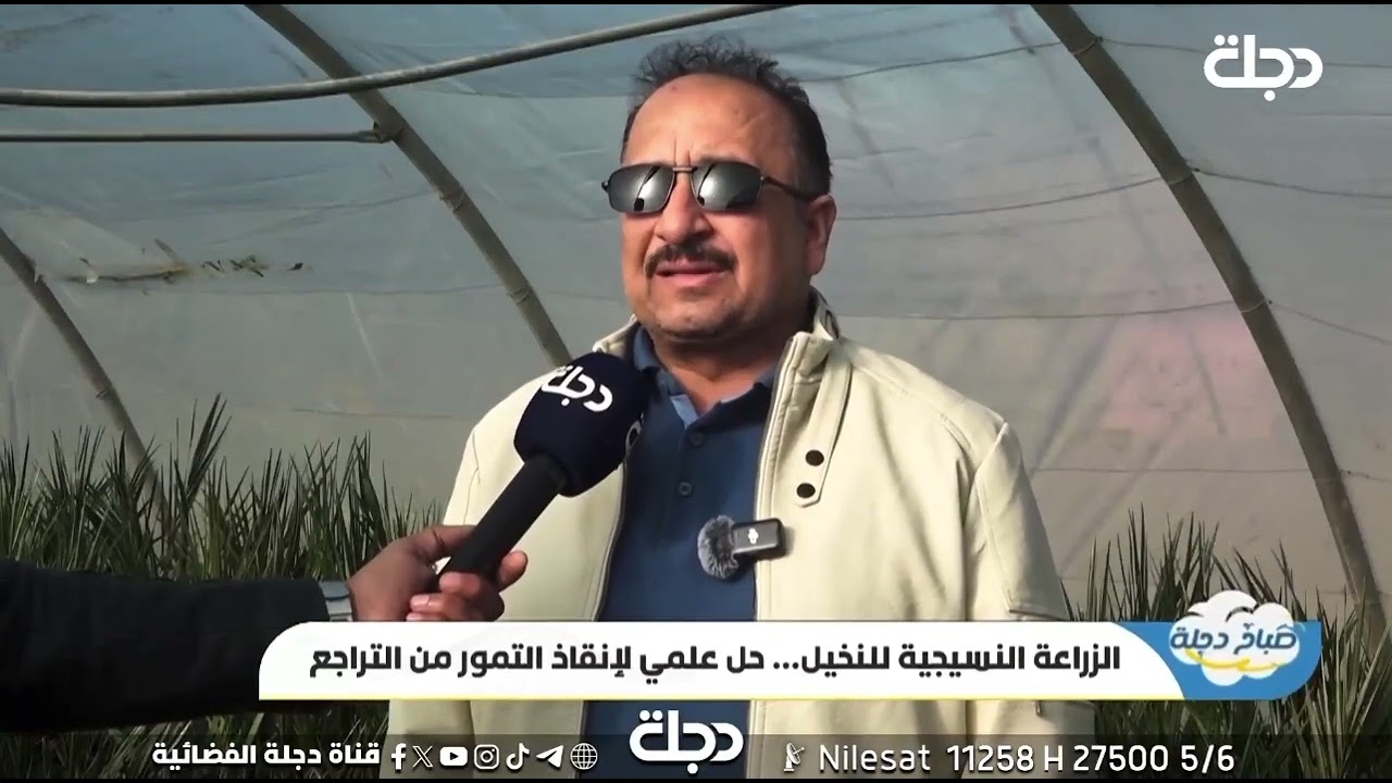 الزراعة النسجية الان هي الحل الأمثل للتكاثر في ضل انتشار أمراض النخيل تقرير سيف الجنابي 
