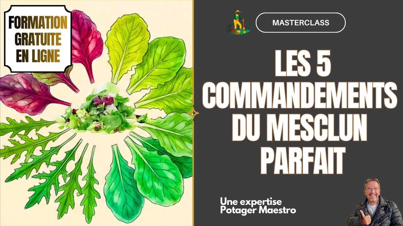 MESCLUN PARFAIT : 5 Règles d'Or Pour l'Abondance au Potager | Masterclass 🎓