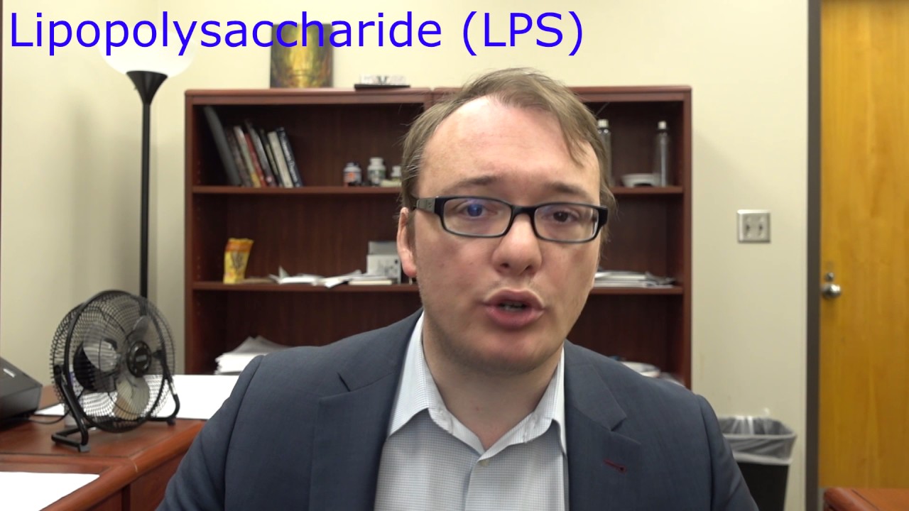 Testing the fibromyalgia immune system with lipopolysaccharide (LPS)
