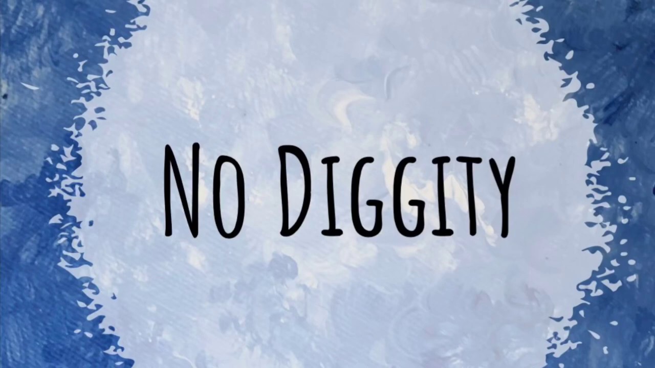 No Diggity - Israeli Dance Revolution