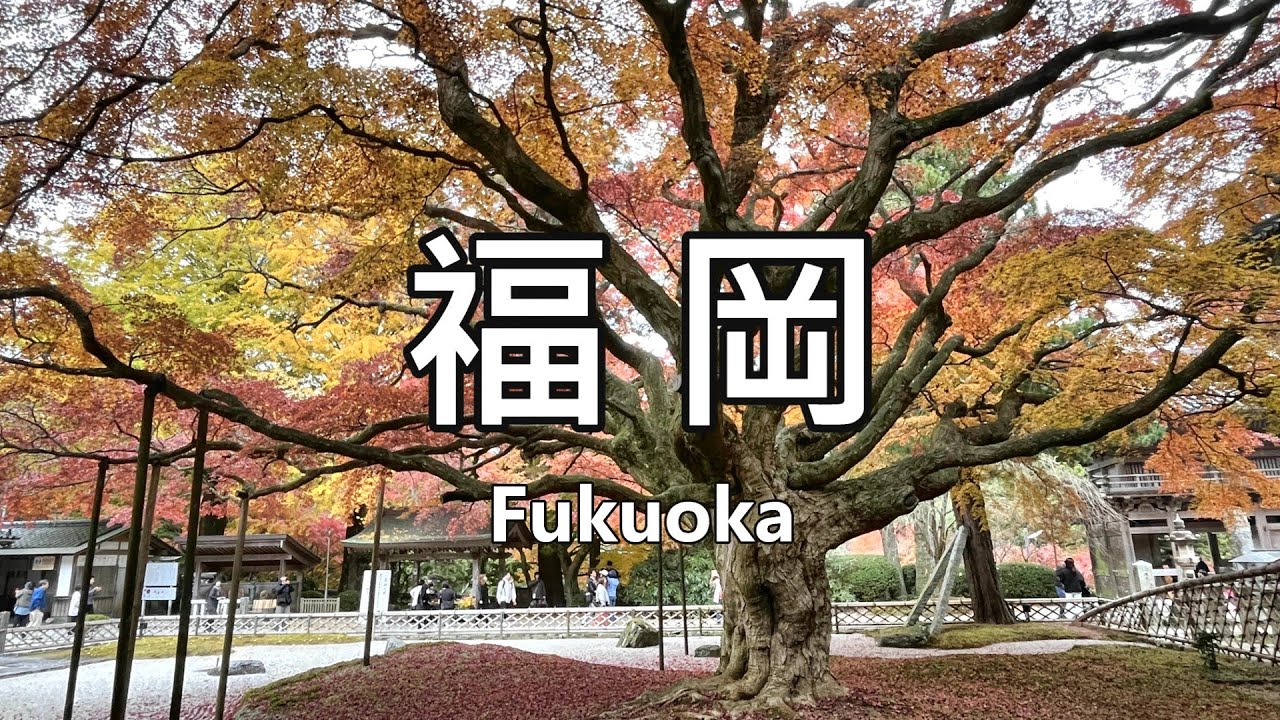 日本福岡紅葉必去 5 景點 | 吞山觀音寺、雷山千如寺、秋月城跡、竈門神社、太宰府、友泉亭公園 楓葉合集 #福岡 #吞山觀音寺 #雷山千如寺 #太宰府