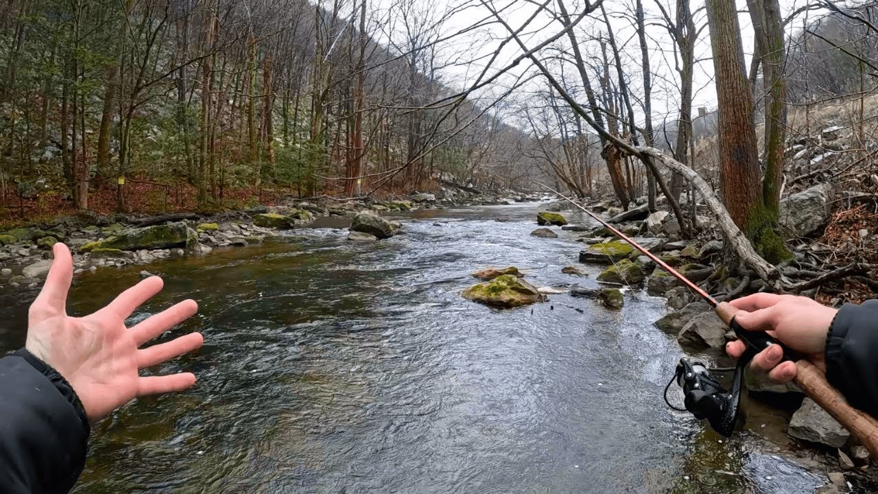 Pulled Off The Road and Found a Loaded Creek!!!