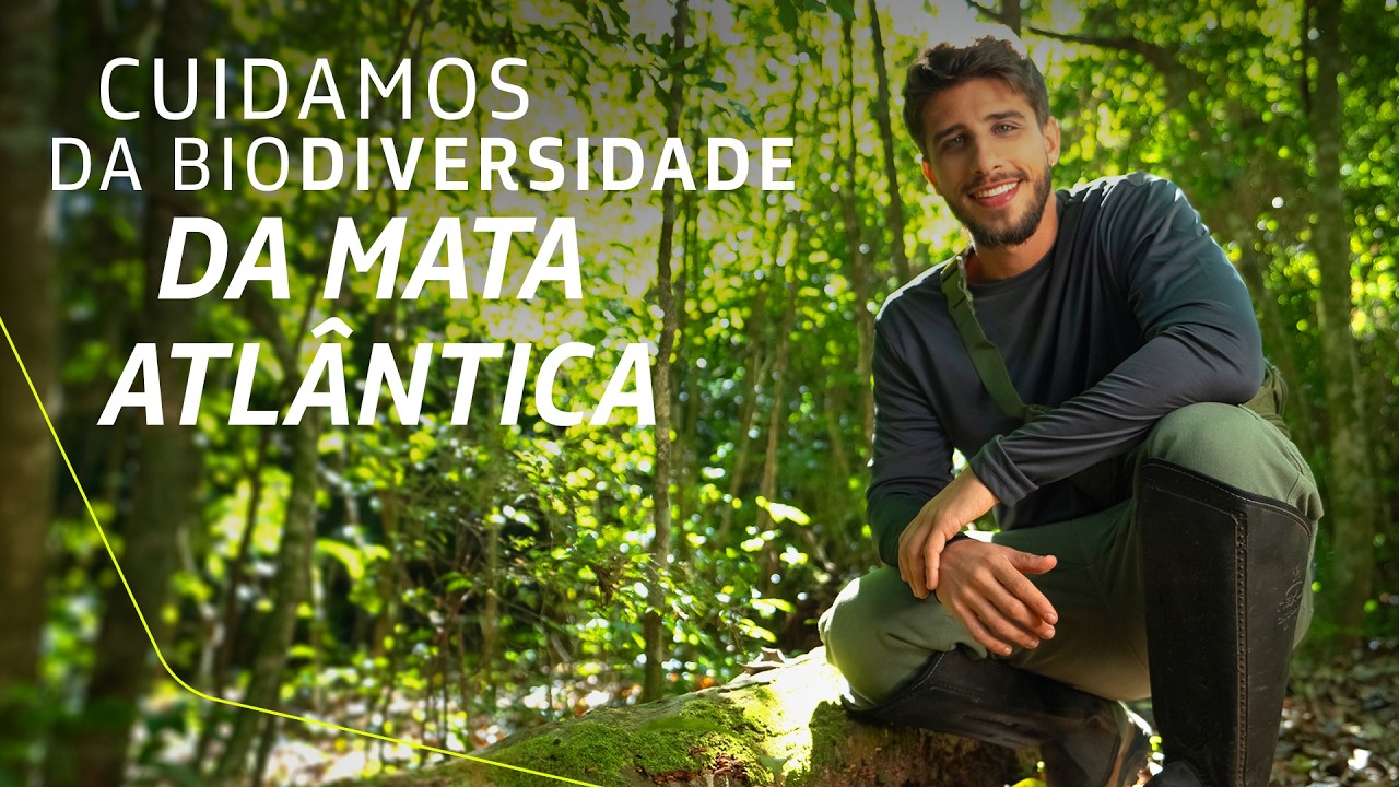 Reflorestamento e educa&ccedil;&atilde;o ambiental no Corredor Caipira | Um Brasil de Energia