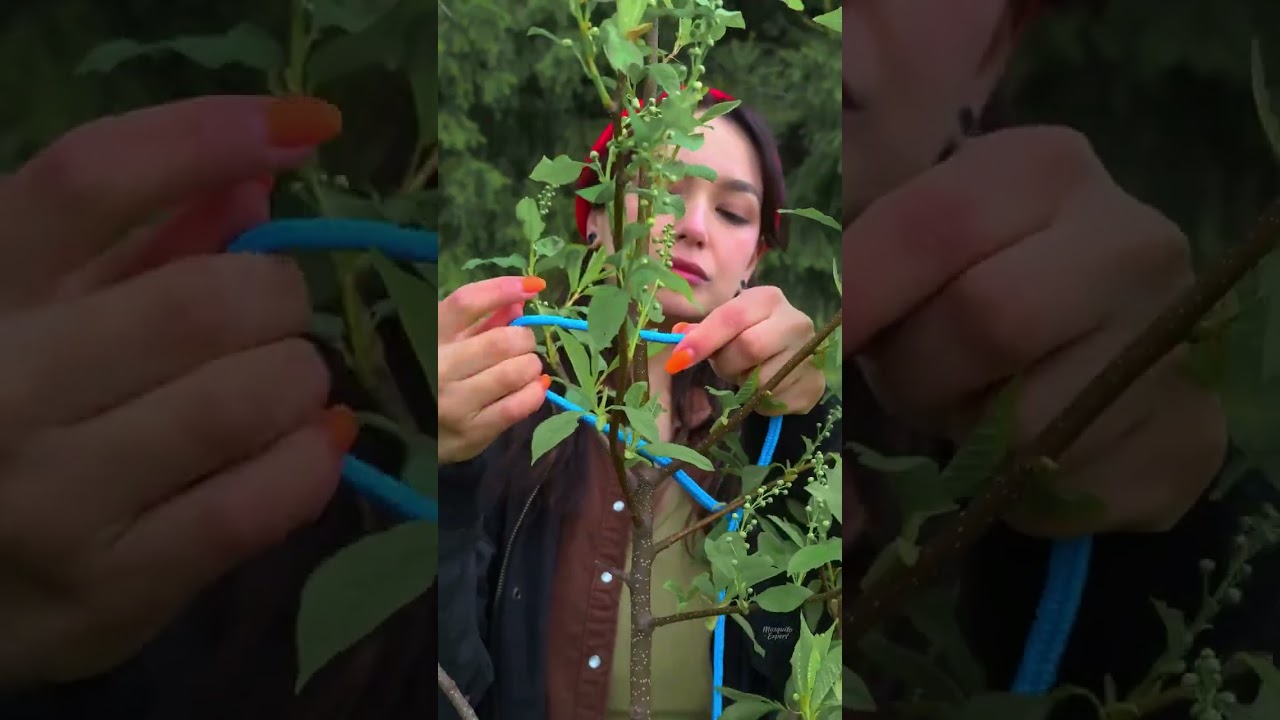 DIY Hunting Trap You Can Build Fast 🪤🔧 Simple & Effective! #camping #DIY #ASMR