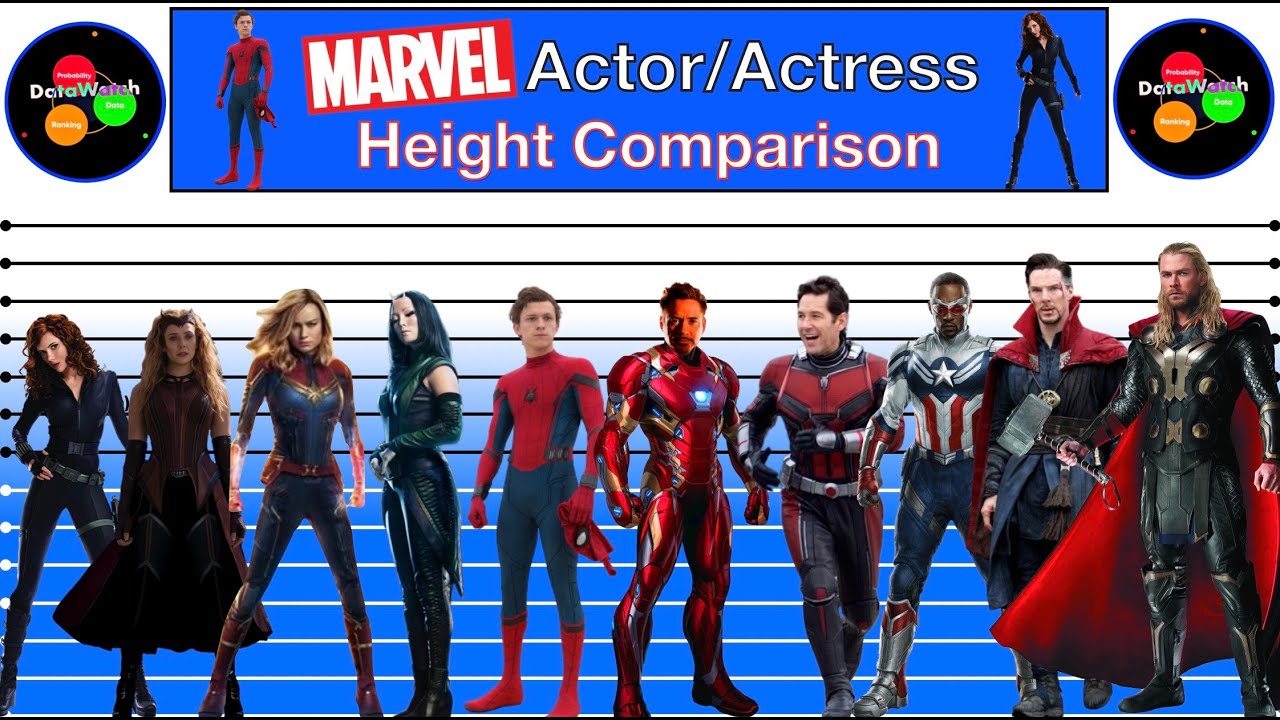 Hollywood Height Comparison | Marvel Actors