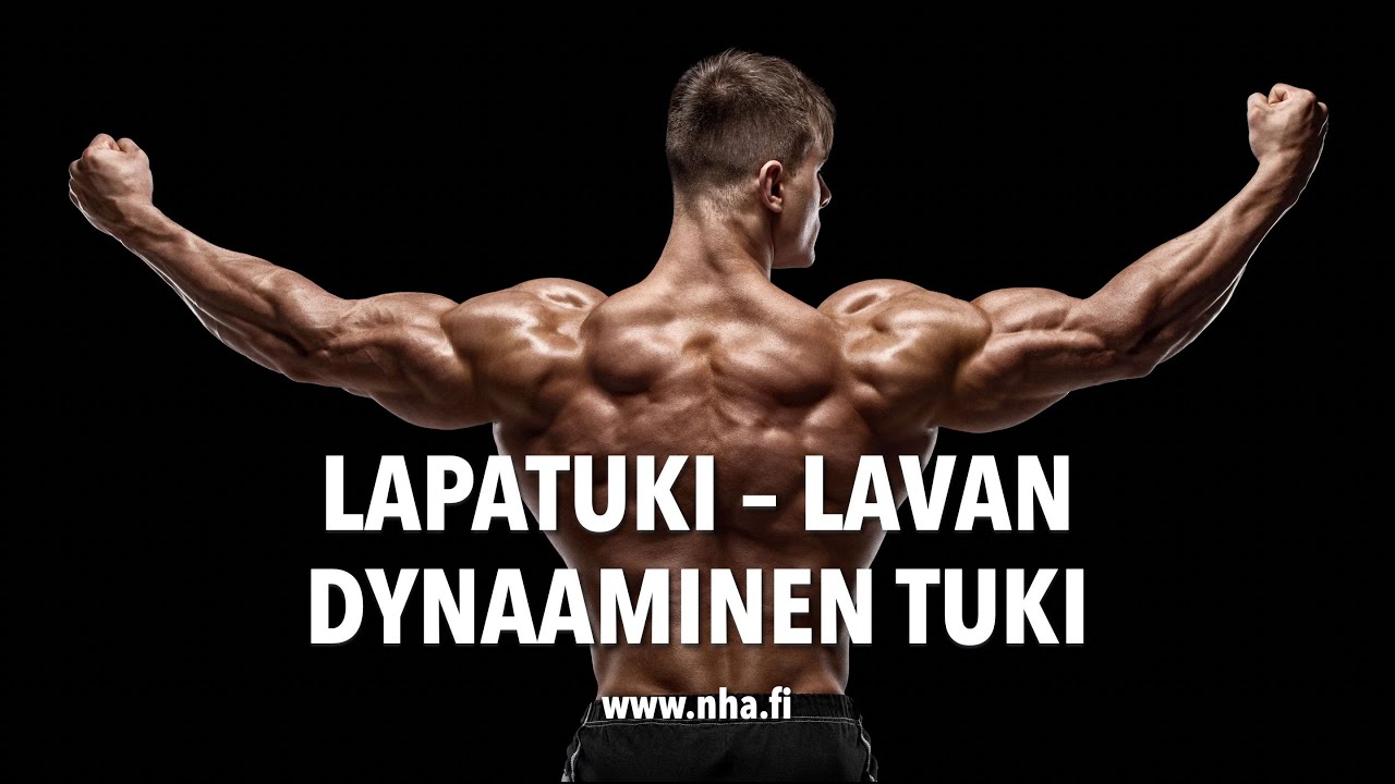 Mikä ihmeen lapatuki? | Lavan dynaaminen tuki