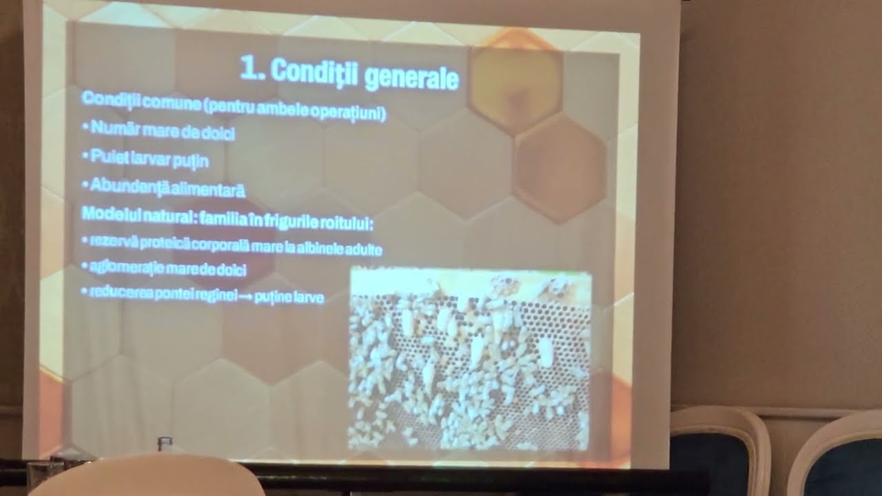 Conferință apicolă Beiuș 2026 , partea a doua.