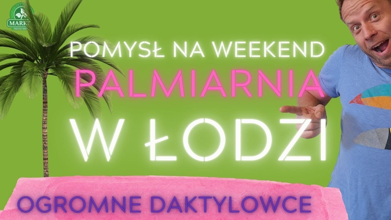NAJLEPSZE PALMIARNIE W POLSCE🌴Gdzie do palmiarni? Polecam tą w Łodzi🔥💪 Najwyższa palma czeka💚