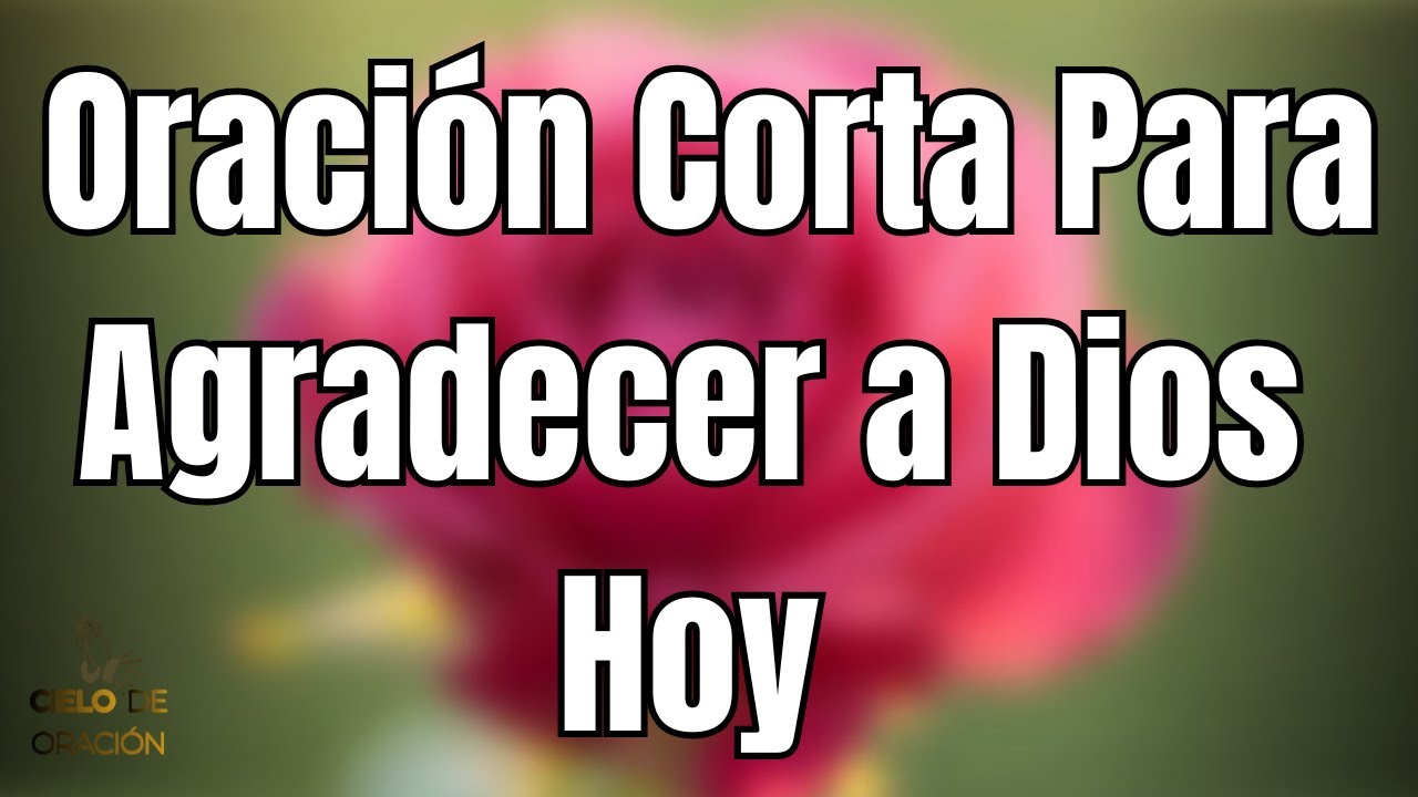 Oración de la Mañana para Dar Gracias a Dios por Todo 🙏 La Familia, la Vida y la Paz