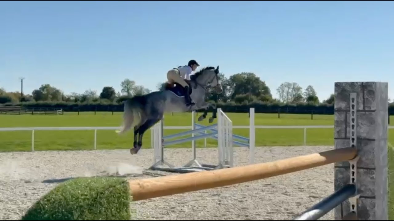 CALL ME DE BEAUFOUR Z — 7yo mare (Zangersheide)