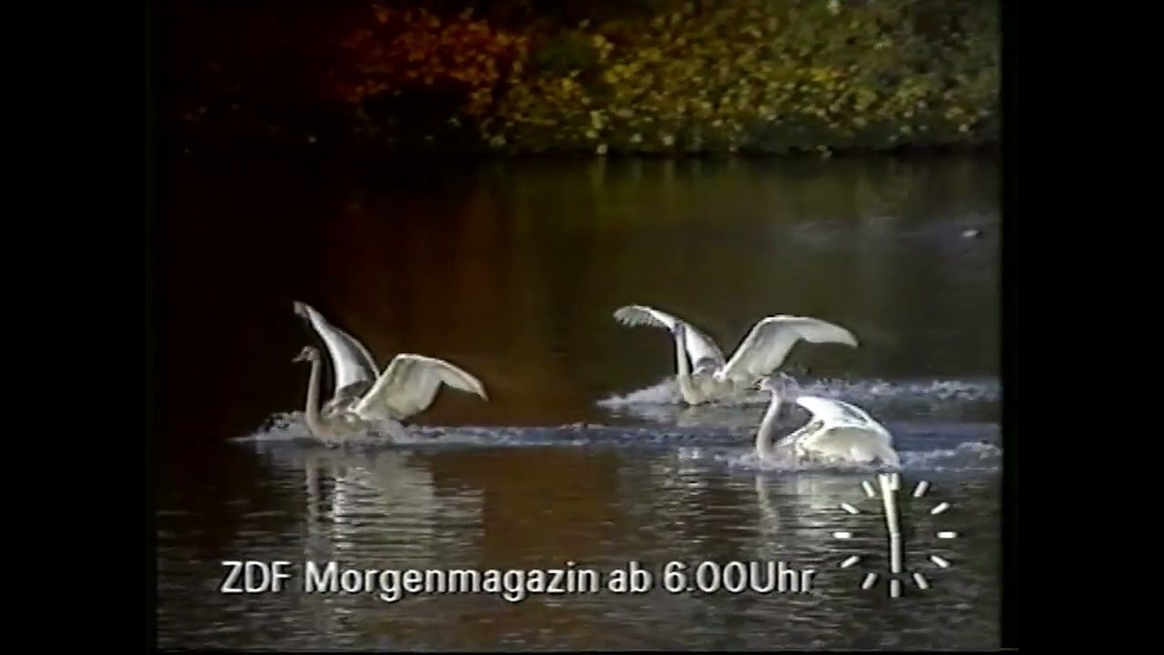 ZDF-Morgenmagazin vom 19. März 1993: seltenes/rares Komplettintro vor Sendebeginn.