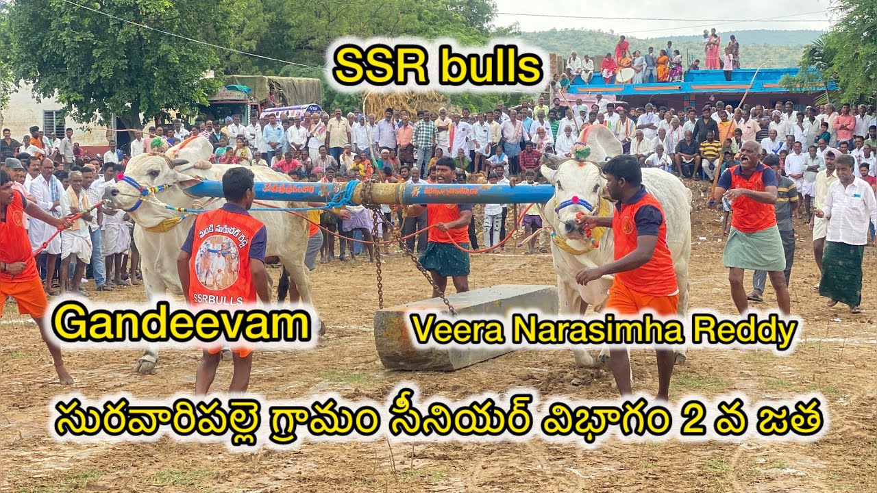 సురవారిపల్లె గ్రామం సీనియర్ విభాగం 2 వ జత  SSR బుల్స్
