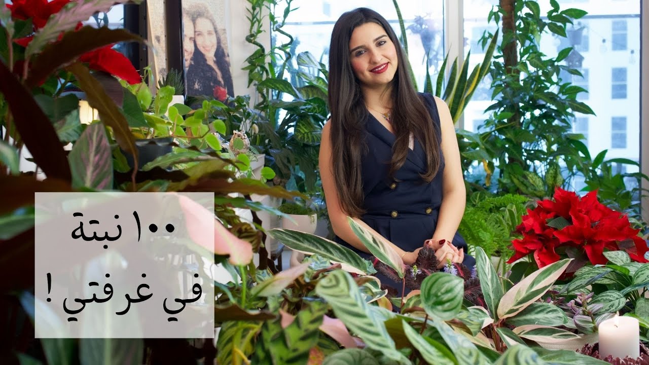 !الحلقة 13 : غابة في غرفتي وأكثر من مئة نبتة  Tour in my Living Room: more than 100 plants