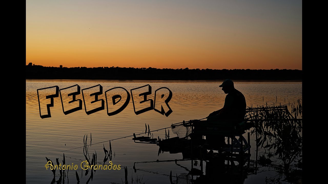 Pesca a Feeder con un campeón de España.