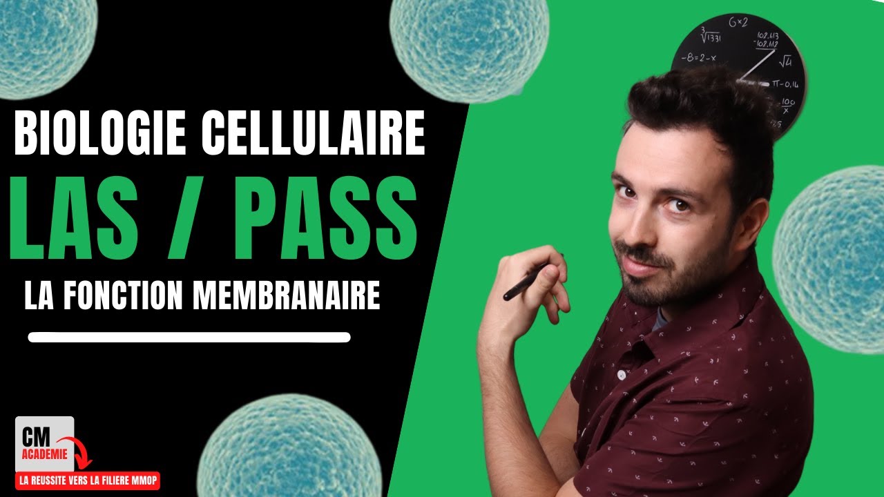 La Fonction Membranaire : 🧫 Mouvements, composition, jonctions, diffusion, transports, endocytose !