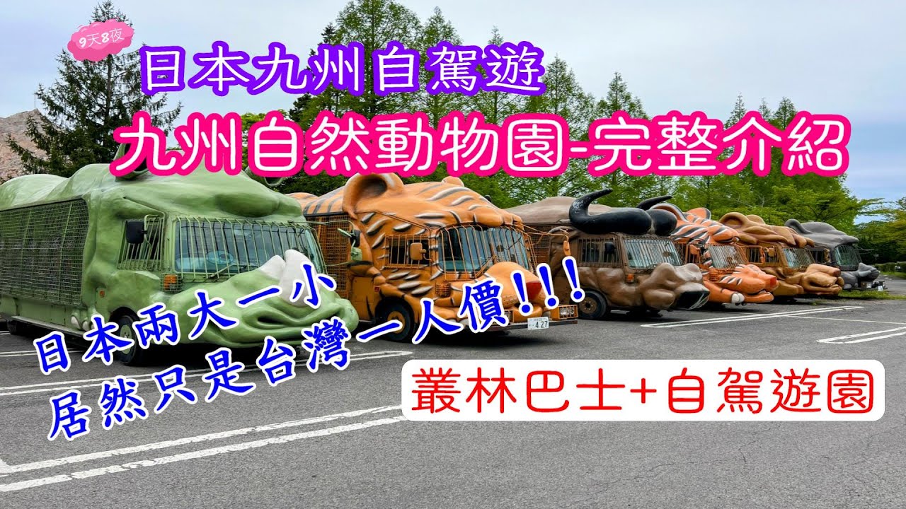 【日本九州自駕遊  EP4】 Day3 九州自然動物園｜Jungle bus｜叢林巴士｜ 開車逛野生動物園區