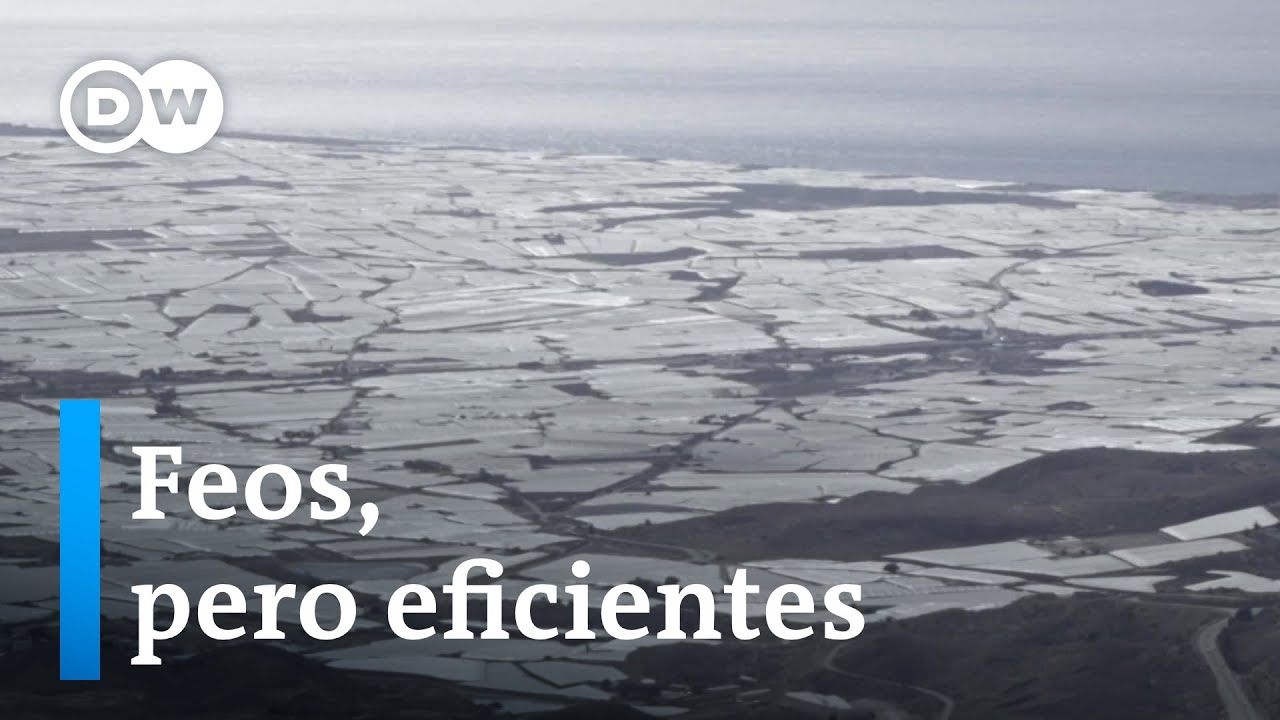 Invernaderos: buscando la eficiencia en sur de España