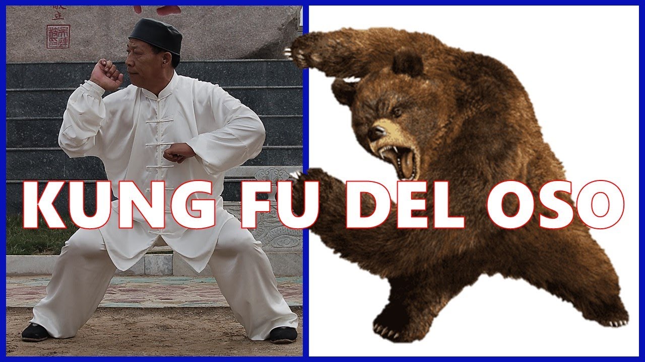 KUNG FU DEL OSO EL BAJIQUAN