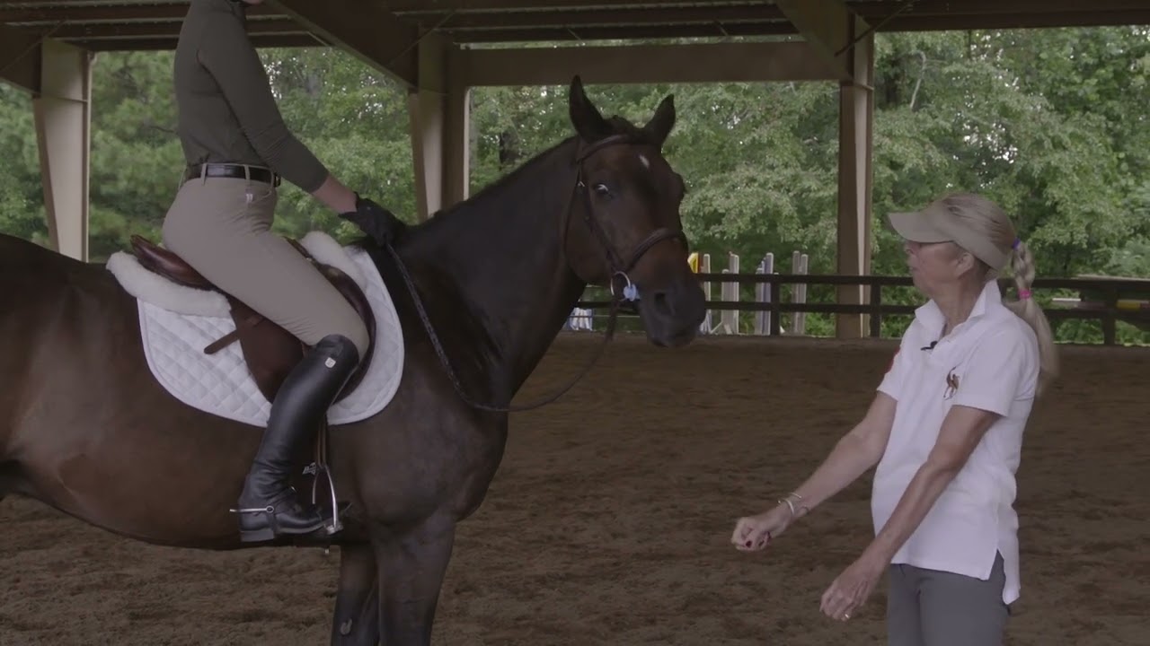 Holly Hugo-Vidal: Rider Position - Hands and Arms