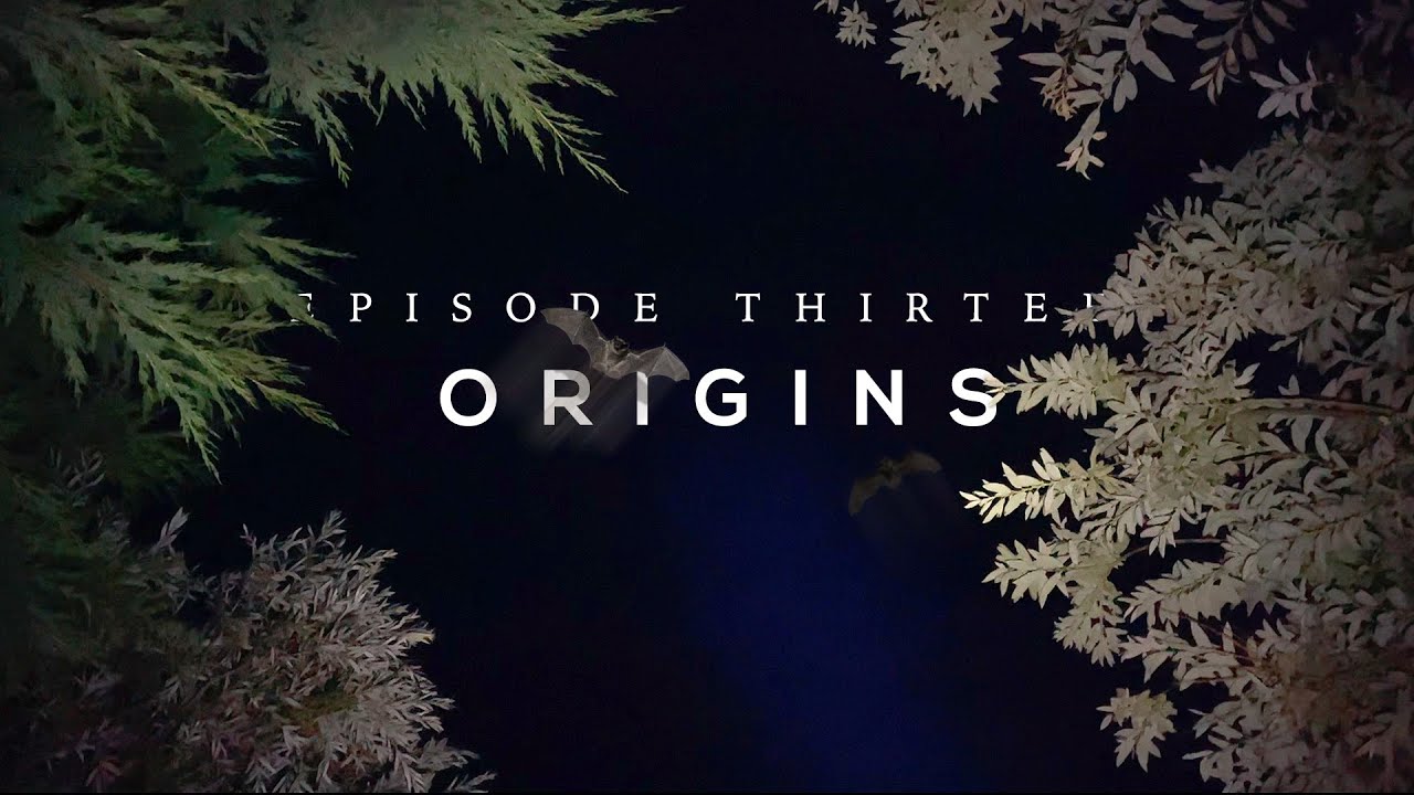 Origins - 48hrs on Essex Carp Syndicates Mill lake