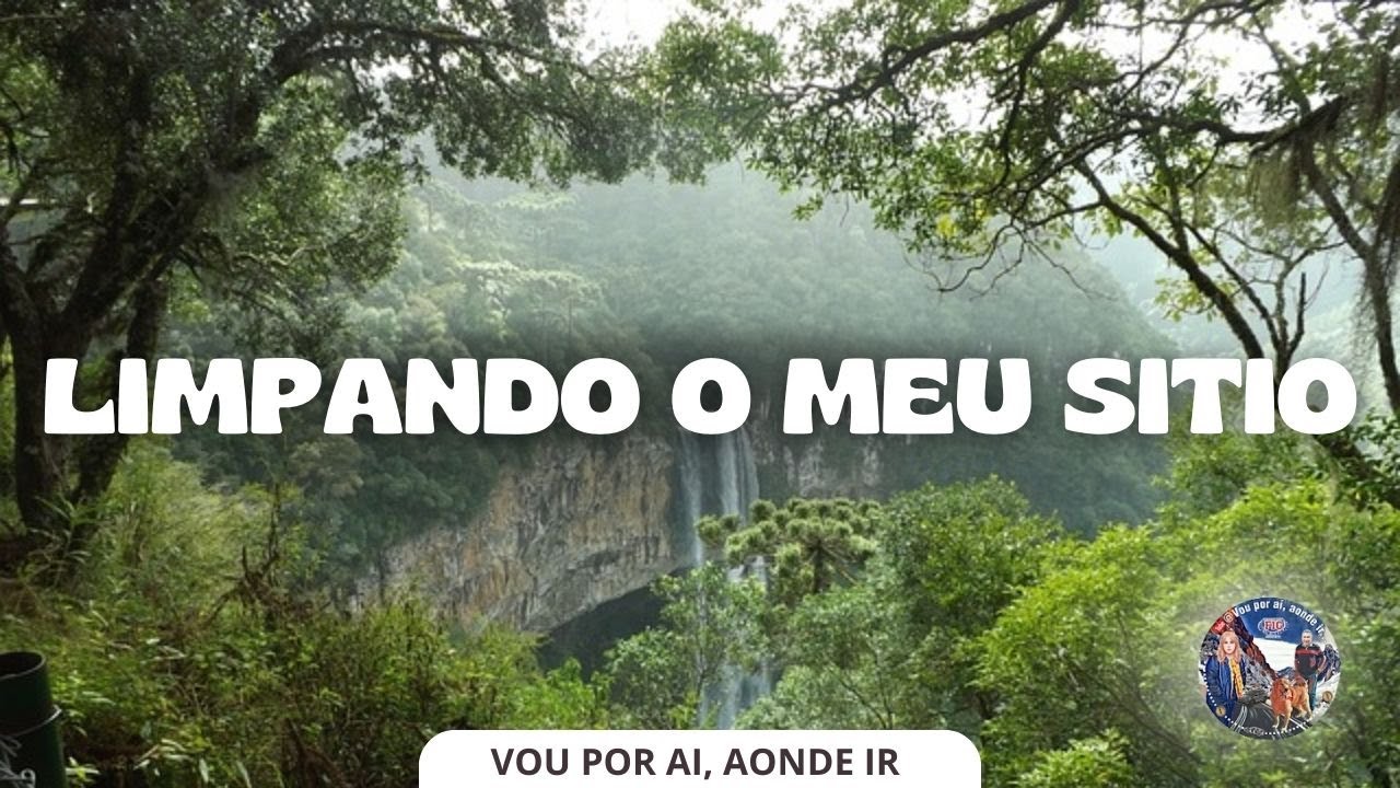 Limpeza no meu sitio!