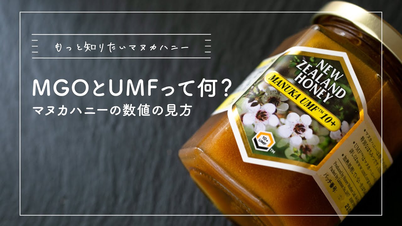 【もっと知りたい！マヌカハニー】UMFについて深掘り！「UMFとMGOって何？マヌカハニーの数値の見方」｜ マヌカハニー専門店 ハニーマザーがマヌカハニーについてご紹介♪