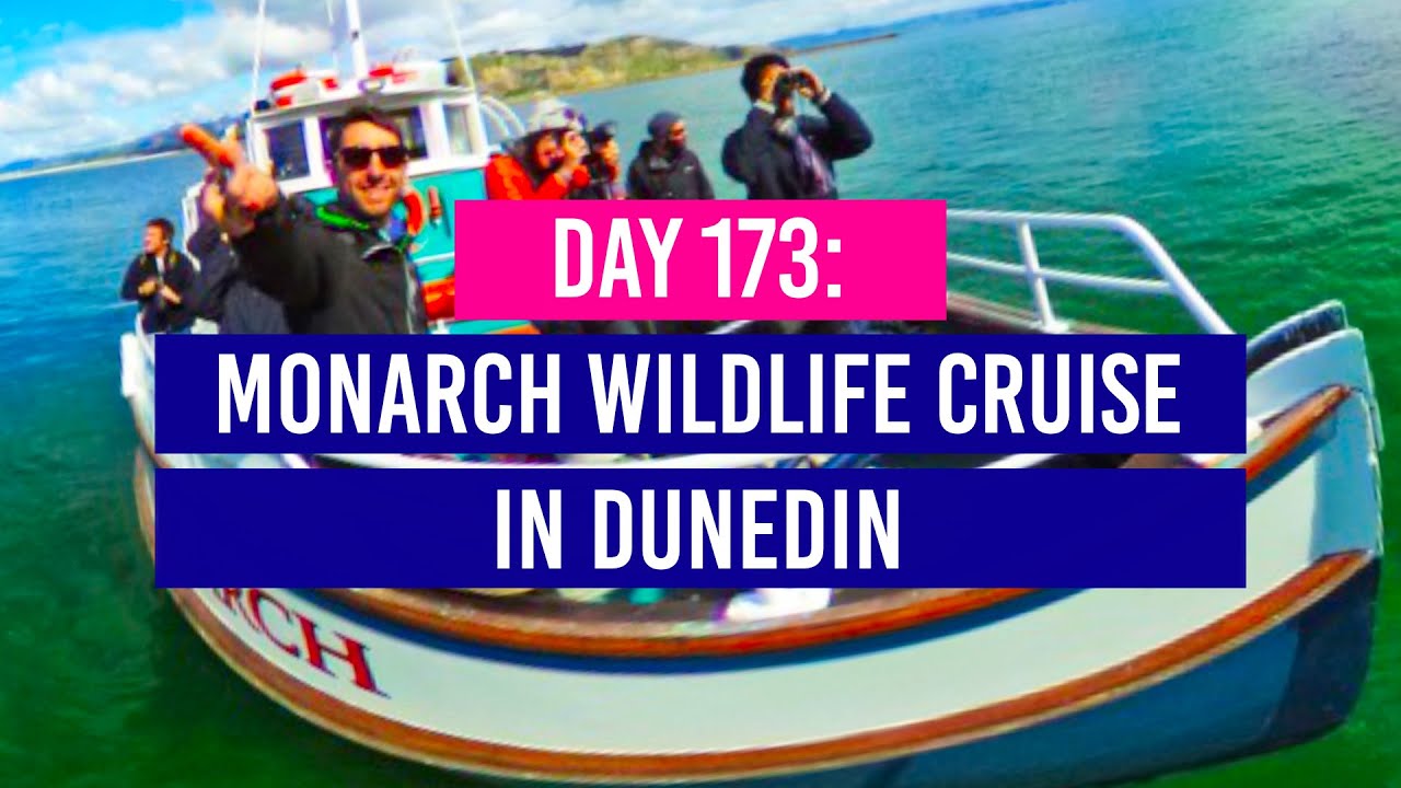 DAY 173 🚢 Wildlife Cruise in Dunedin with Monarch - New Zealand Travel