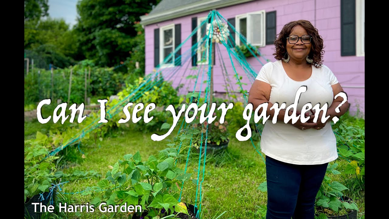 She turned her backyard into an Edible Landscape