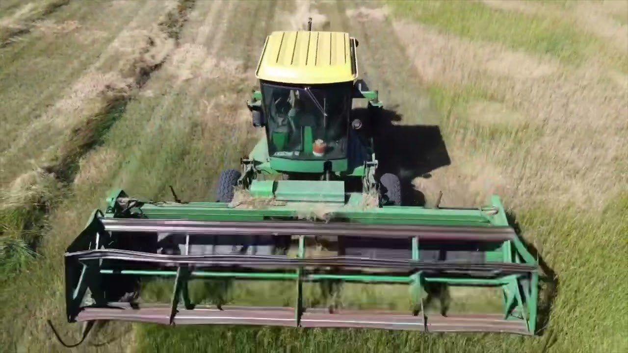 Self propelled 2320 John Deere swathing hay!