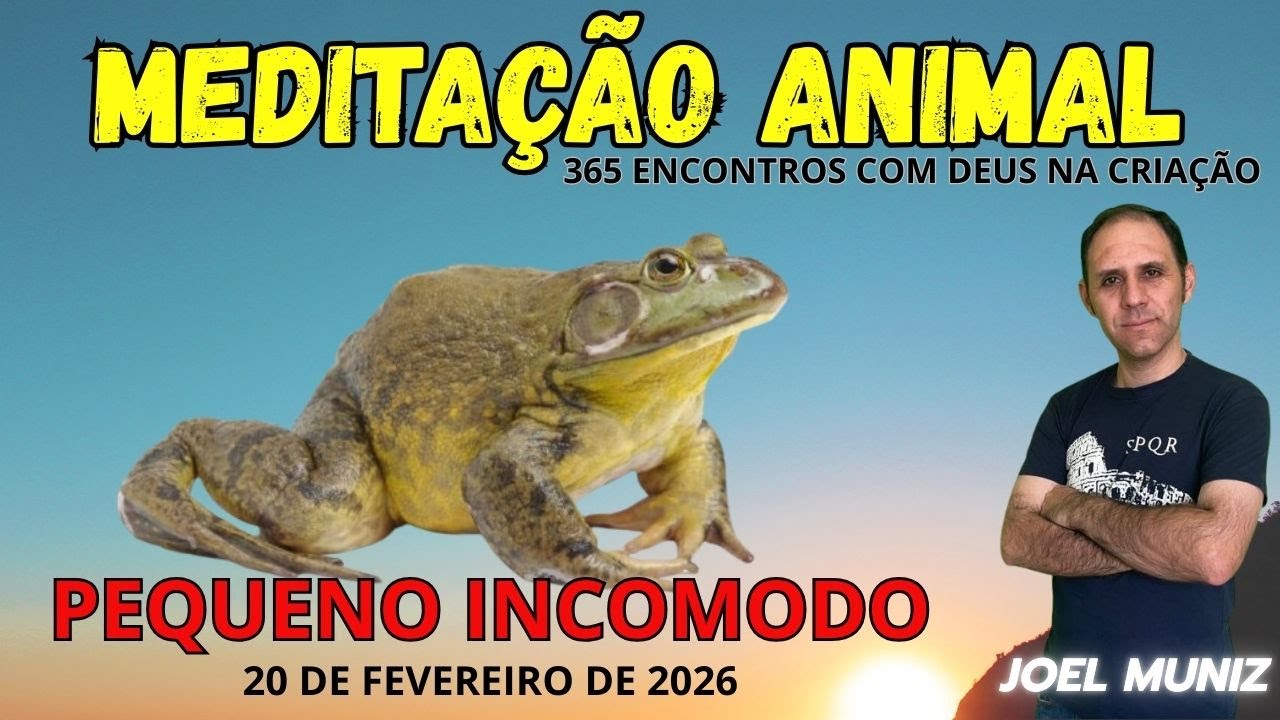 PEQUENO INCOMODO - 20 DE FEVEREIRO DE 2026 - MEDITAÇÃO ANIMAL