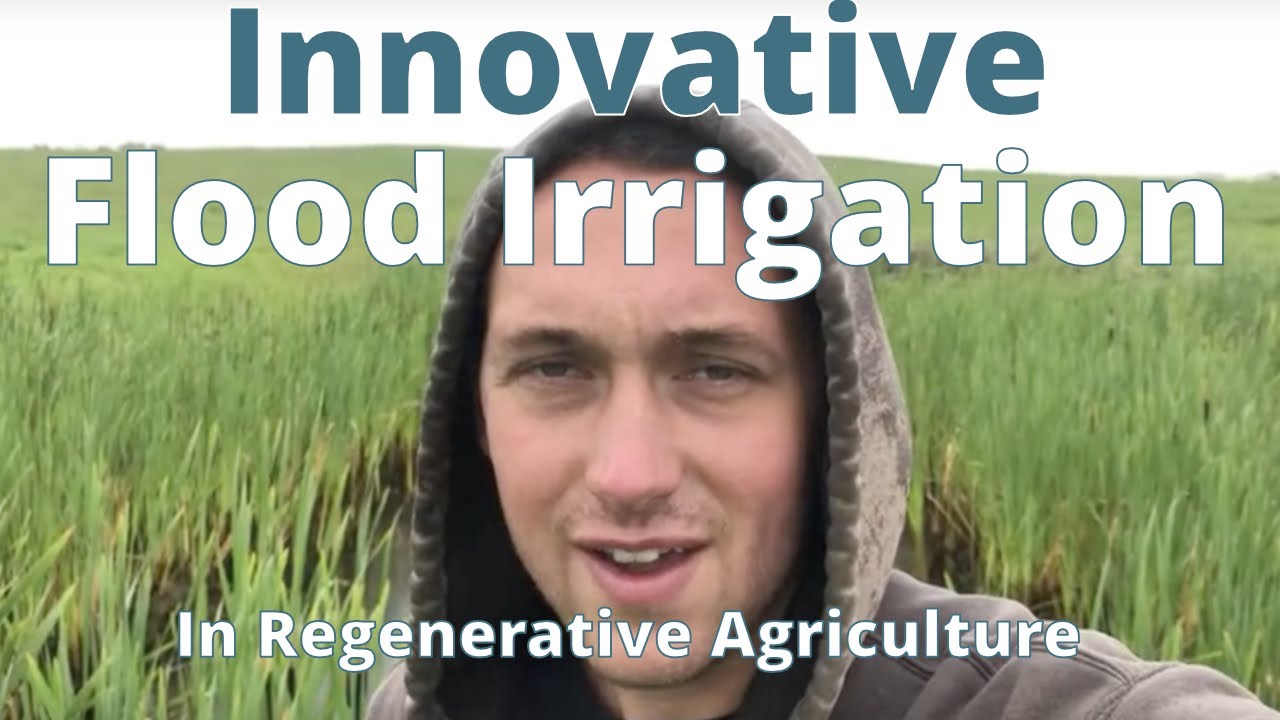 Innovative Flood Irrigation In Regenerative Agriculture