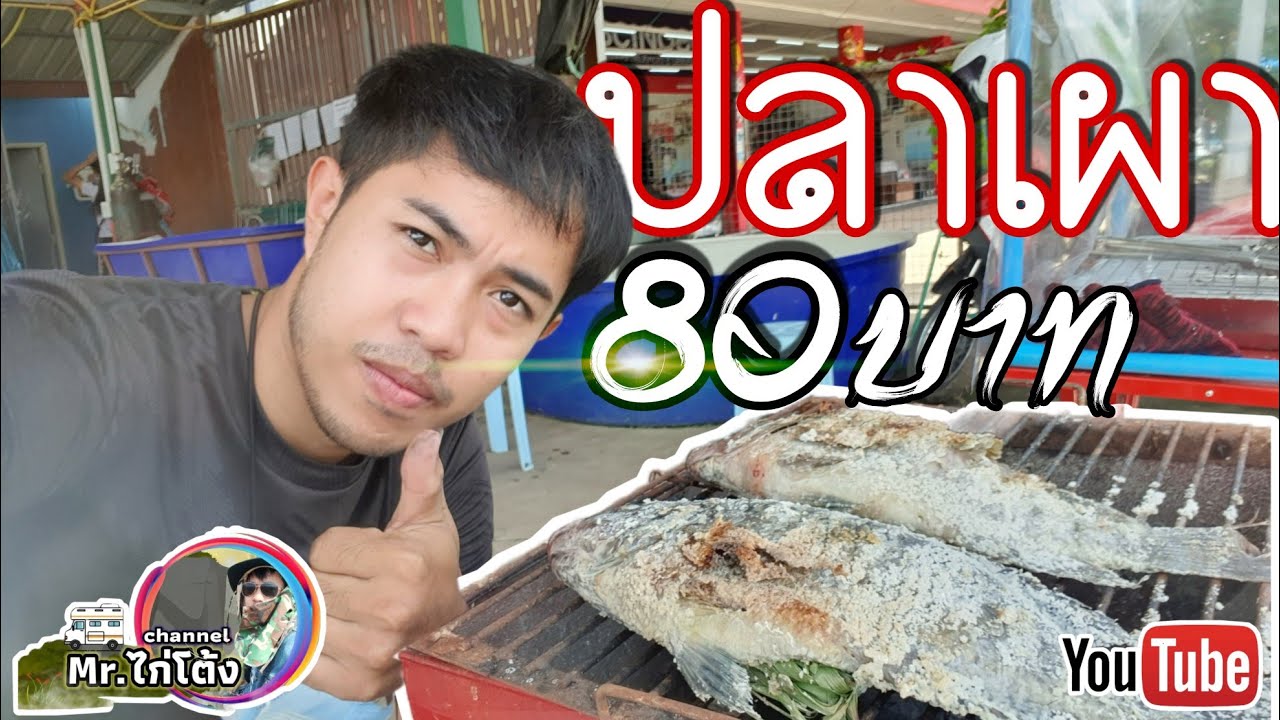 ขายปลาเผา ตัวละ 80บาท เปิดร้านขายปลานิลอย่าไงให้รอด #ช่วงโควิด!! #ร้านปลานิล #อาชีพ #งาน