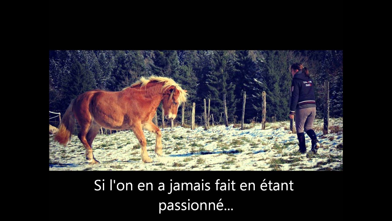 il parait que l'équitation n'est pas un sport