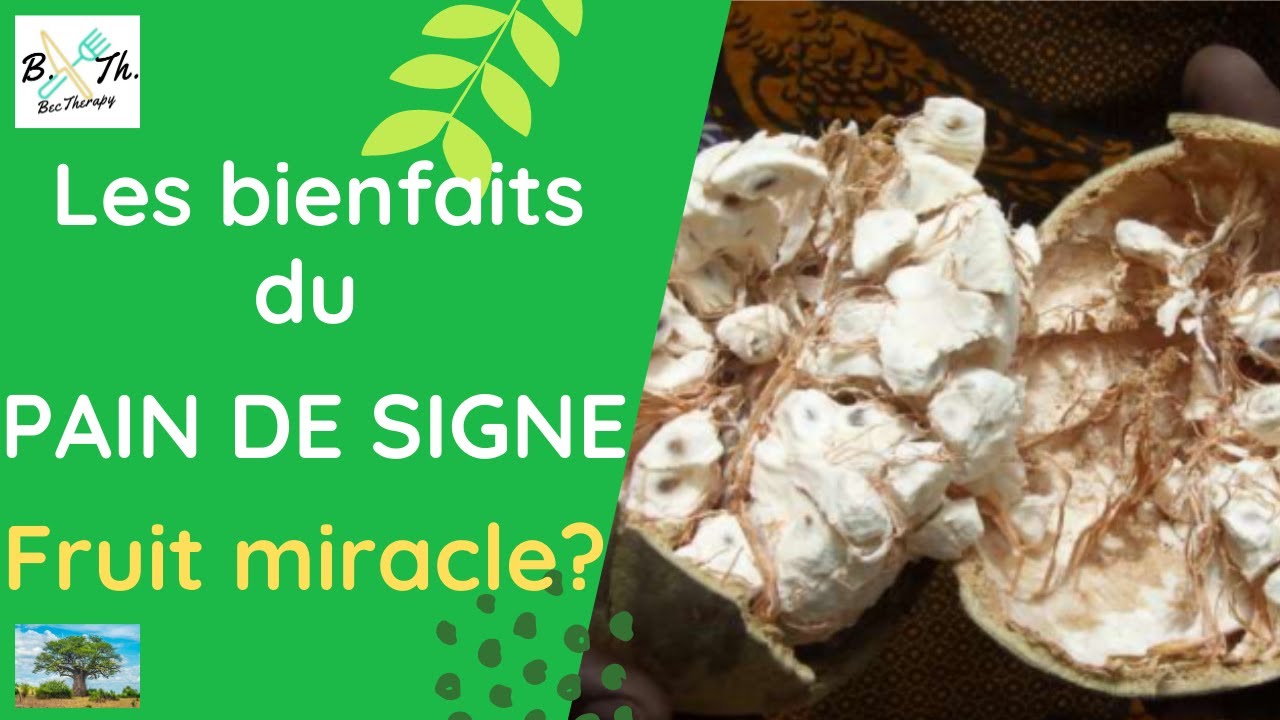 PAIN DE SINGE : VERTUS, BIENFAITS, RECETTES II BecTherapy