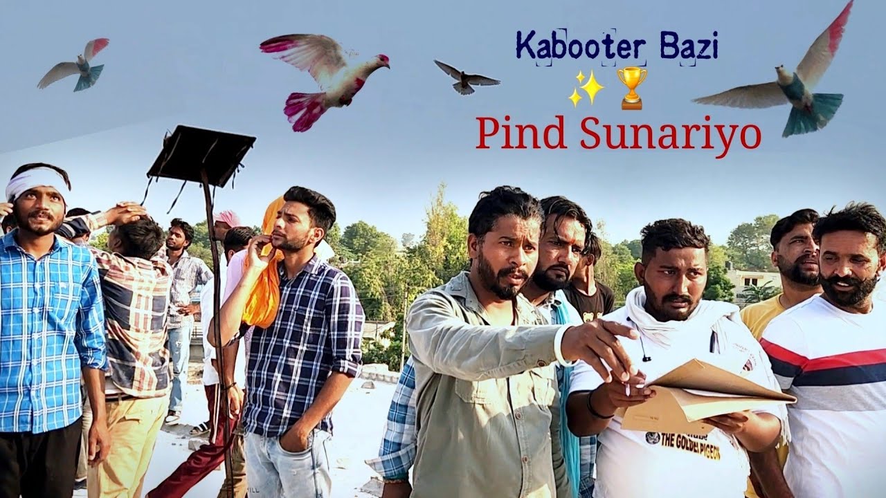 Tournament // Pind Sunariyo Haryana  // Kabootar Bazi Panjabi Song Video//Kabootar// Babbu mann //