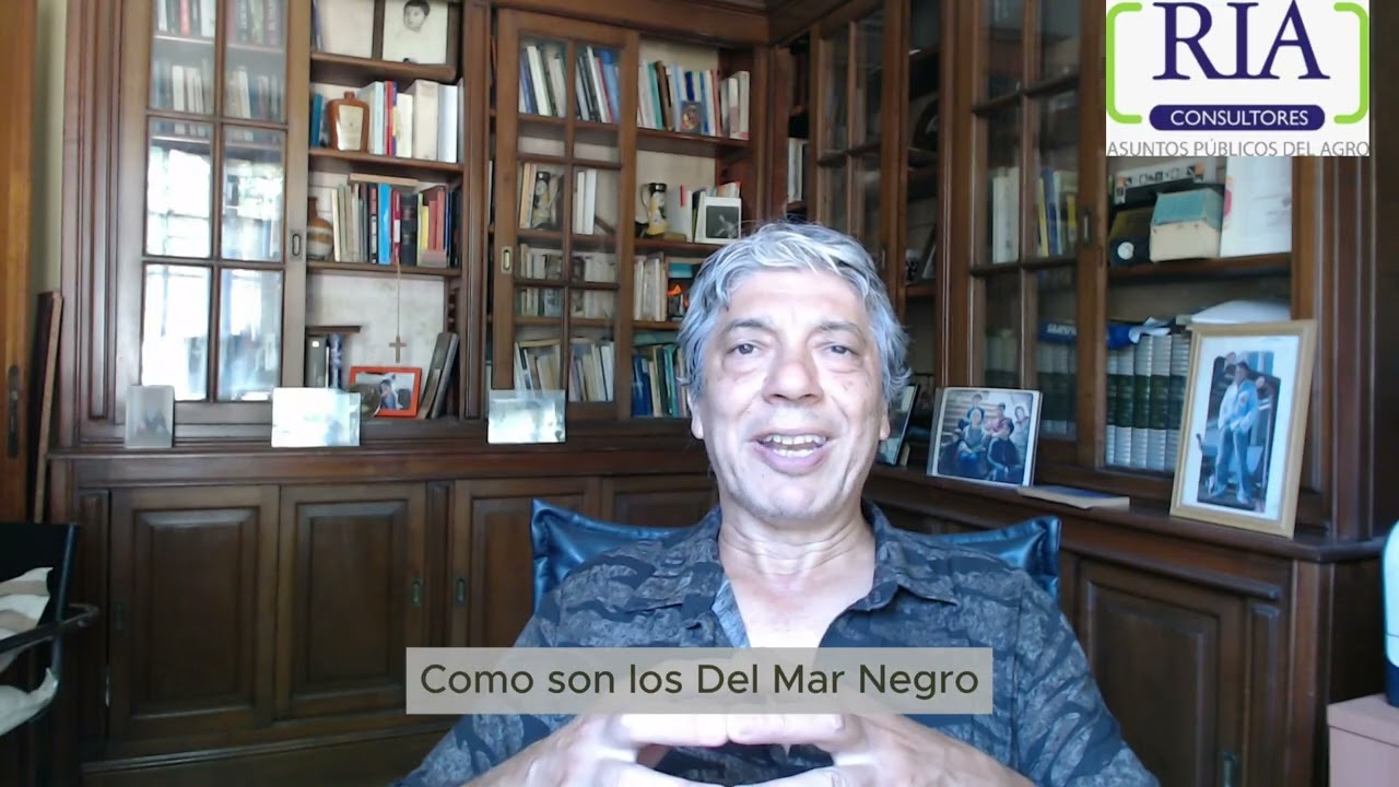 Sintesis del informe RIA 1.207