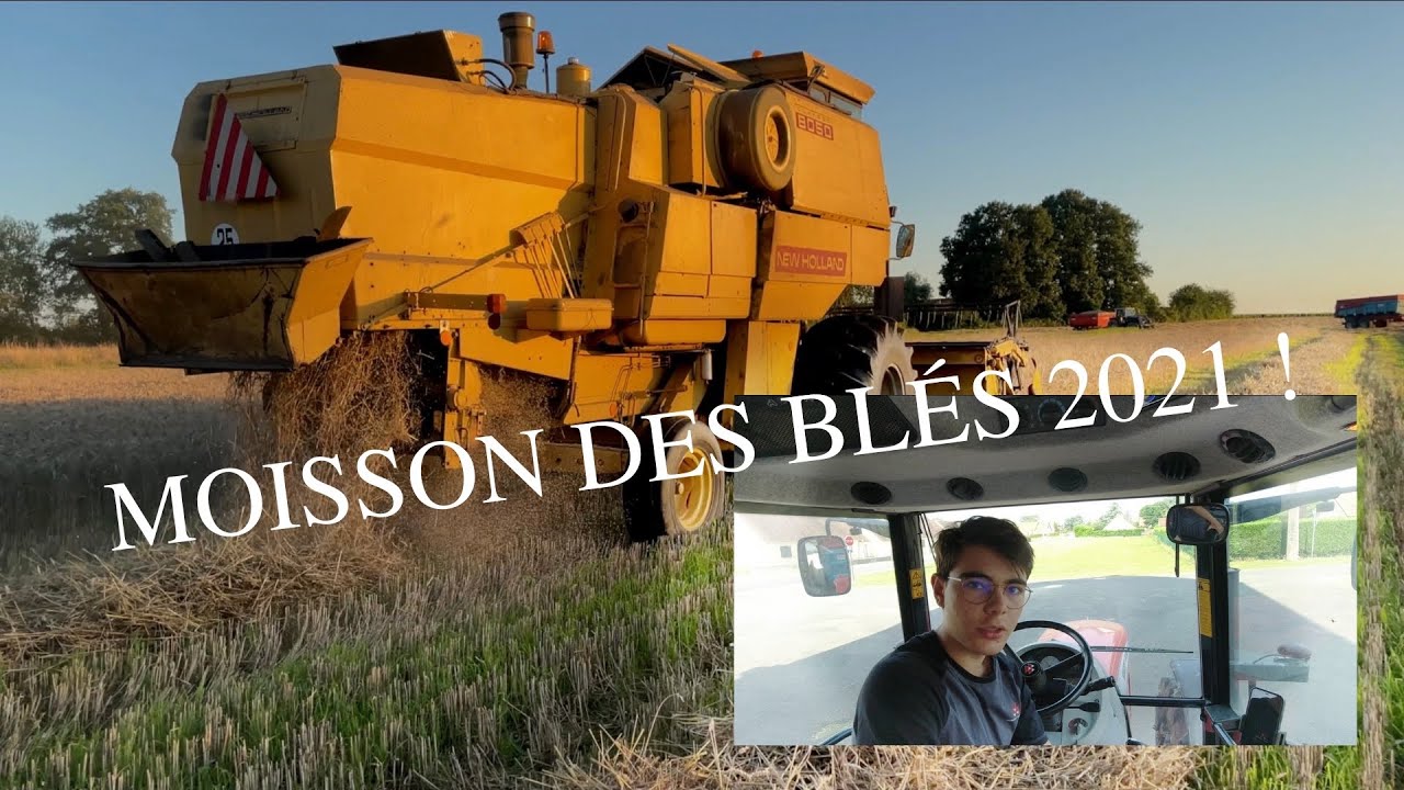 Moisson des blés 2021 (partie 1/2)