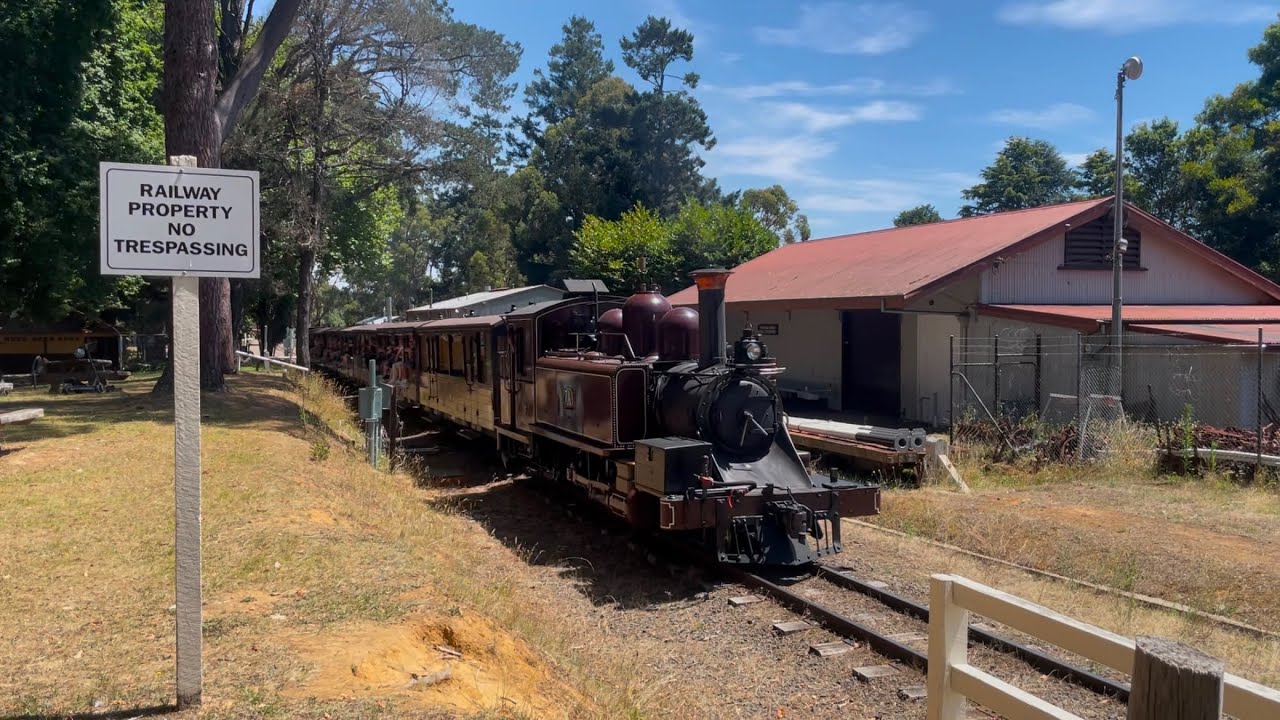 Puffing Billy steam and diesel trains in summer!