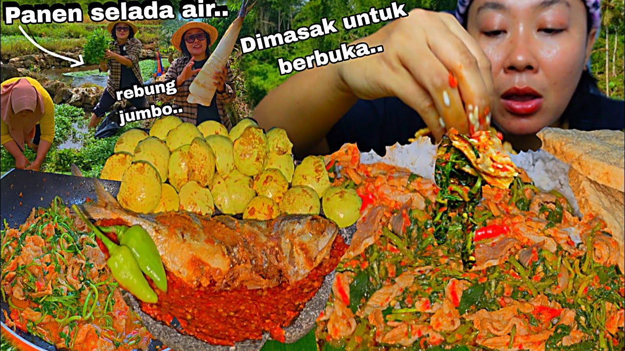BERKUNJUNG KEKEBUN SELADA AIR DIDESA KIKI ,SAYURNYAMASAK DAN MAKAN 🤤‼️