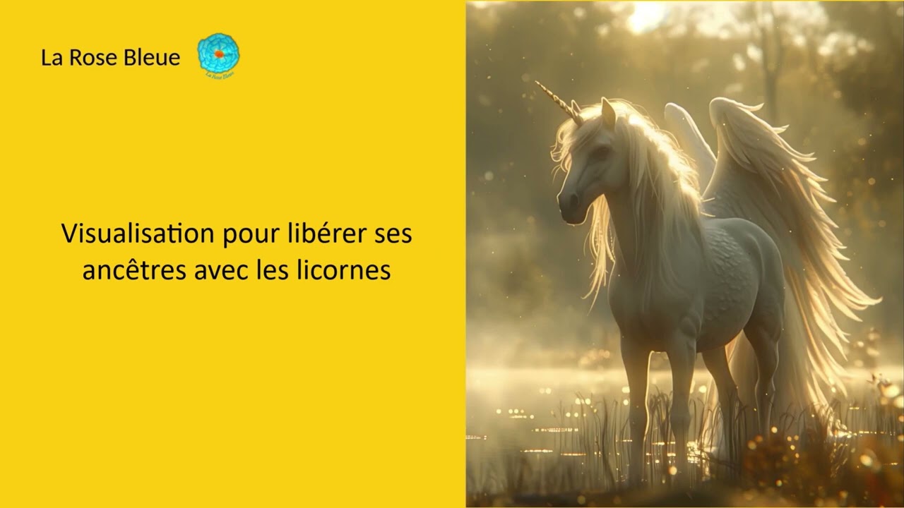 Visualisation pour libérer ses ancêtres avec les licornes
