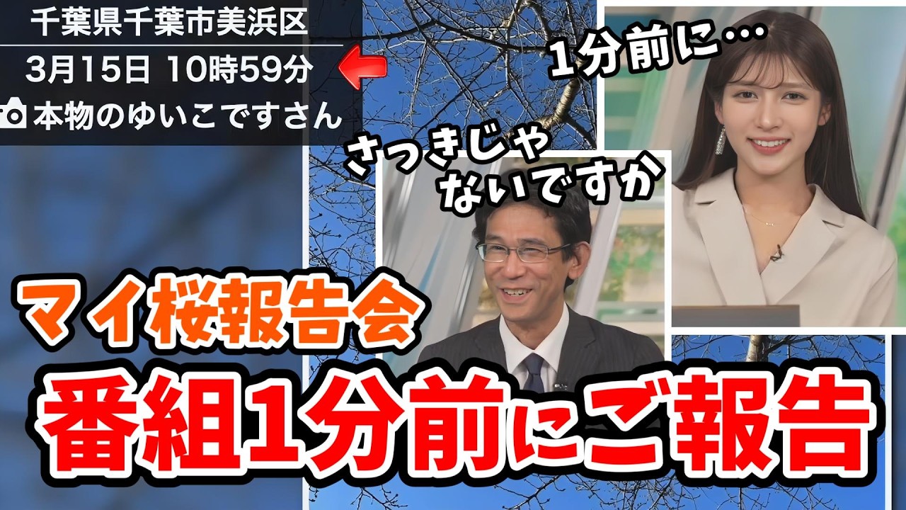 【岡本結子リサ・山口剛央】マイ桜対決！番組開始1分前にマイ桜リポートを送る結子ちゃん【ウェザーニュース切り抜き】