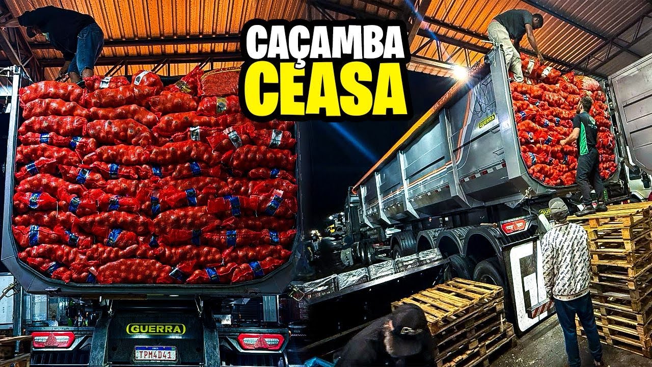 CHEGAMOS NO CEASA PRA FAZER 2 ENTREGAS DE CEBOLA 😱 NO HORÁRIO