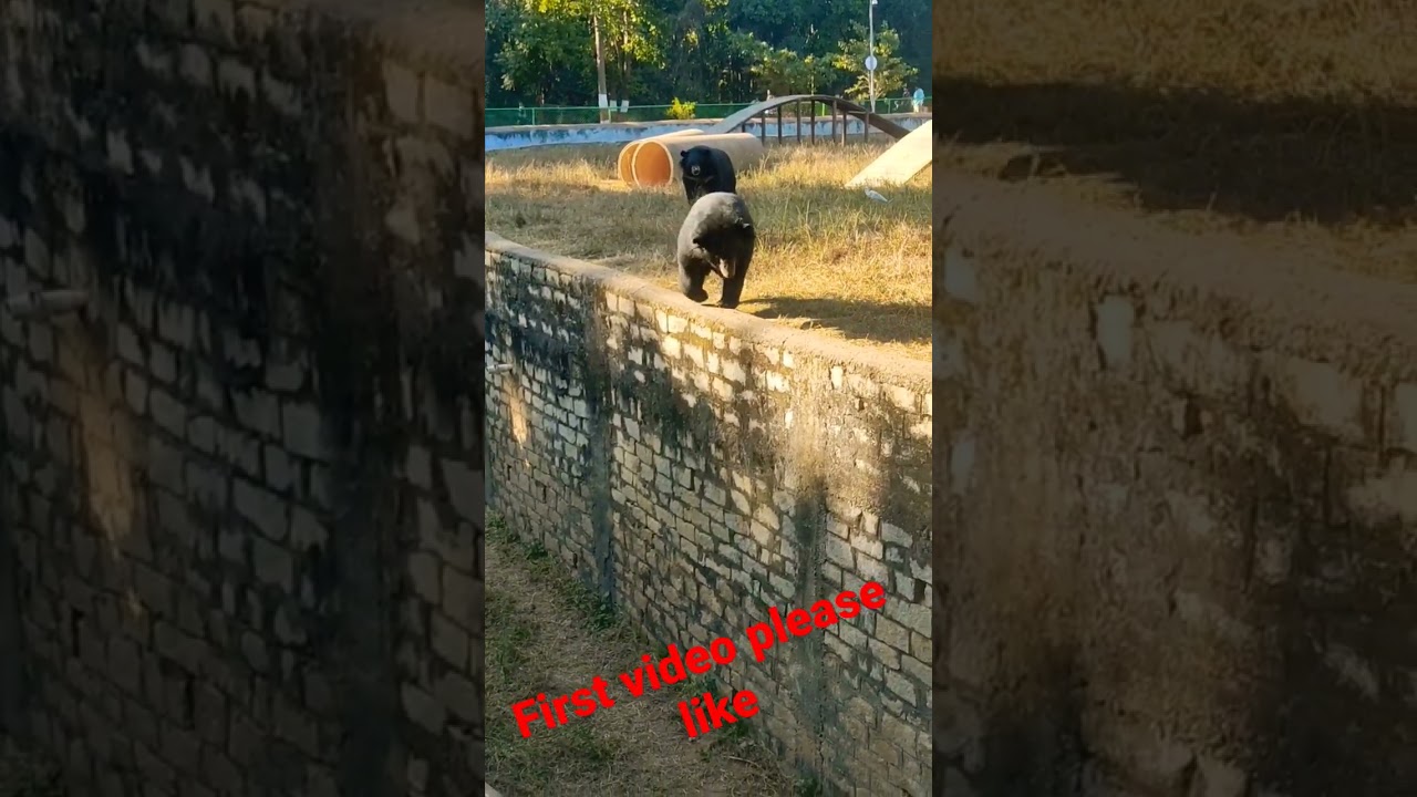 Ranchi Birsa jaivik udyan Ormanjhi