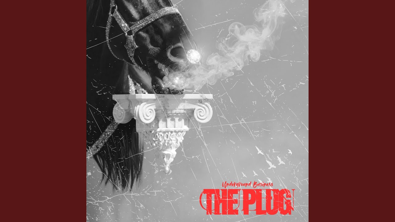 The Plug