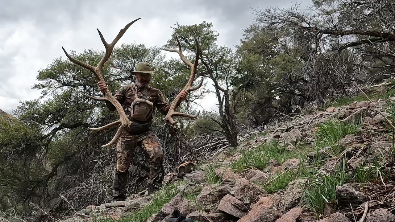 Episode 2: 354 inch brown set! Utah shed hunting, bull elk antlers.