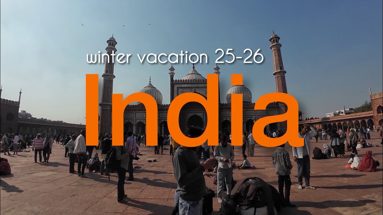 (DAY1-DAY2)インド•ネパール旅行 l インドにも行きたい